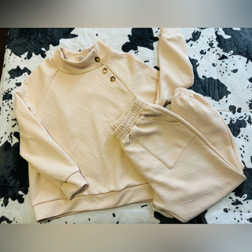 Elegant Beige Cowl Neck Sweater Set
